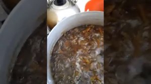 Самое вкусное и лечебное варенье из зелёной момордики