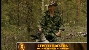 Заповедник. Испытания лаек.