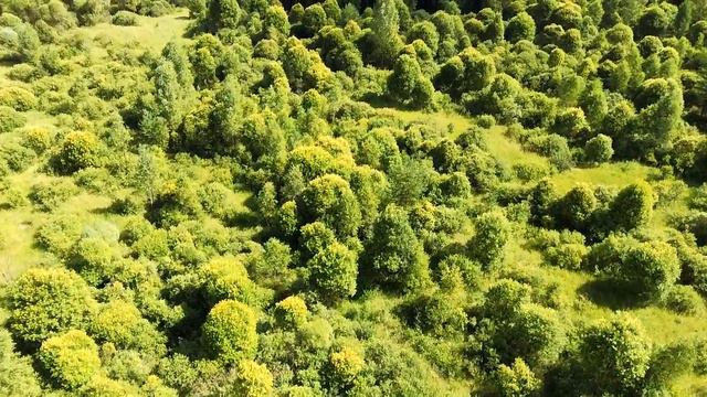 Красивые сюжеты. г. Карачев. Съёмка Hubsan h117s zino. смотреть онлайн