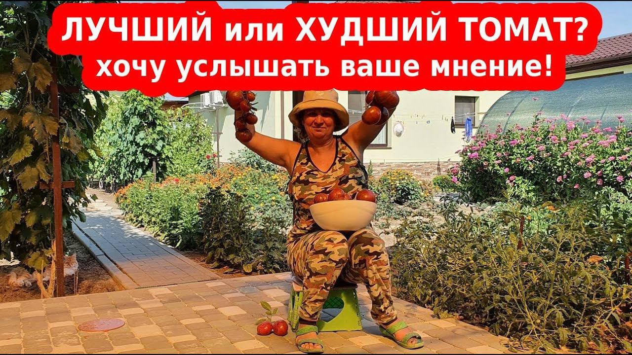 Сорт томата "Полосатый шоколад" - урожайный и вкусный помидор