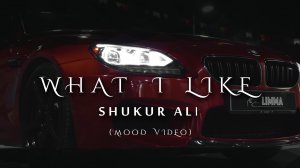 Shukur Ali - What i like (Mood Video)