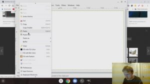 Install GIMP on your Chromebook (Linux Support)