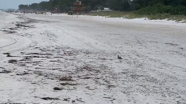 USA, Florida, Gulf of Mexico,The Caribbean, Anna Maria Island/Флорида, Мексиканский залив Карибског