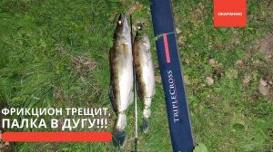 ОГО! Судак крутит фрикцион без остановки. ЛУЧШАЯ РЫБАЛКА на спиннинг воблерами на судака 2021!