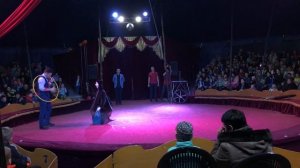 Морской лев _ Цирк шапито "Антре"