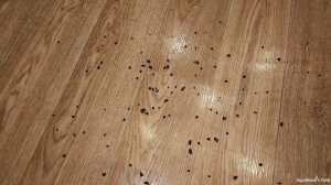 Лава как наполнитель внешнего фильтра, проверка производительности