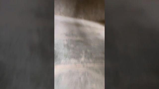 Виды фильмов/ 1 часть смотреть онлайн