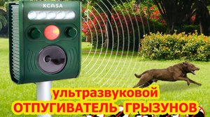 !!! ЗАЩИТА от ГРЫЗУНОВ !!!