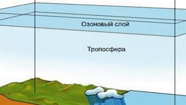 Понятие биосферы  Границы биосферы смотреть онлайн