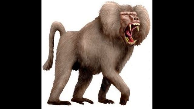 Динопитек - Древний бабуин | Древние животные смотреть онлайн