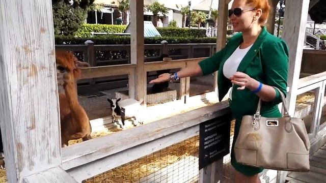 ЯЛТА-ИНТУРИСТ смотреть онлайн