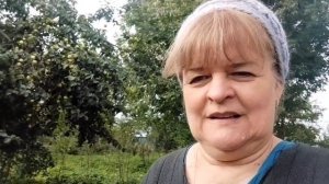 Солю зеленые помидоры