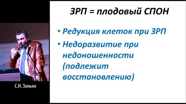 Плацента. Ролдь плаценты.