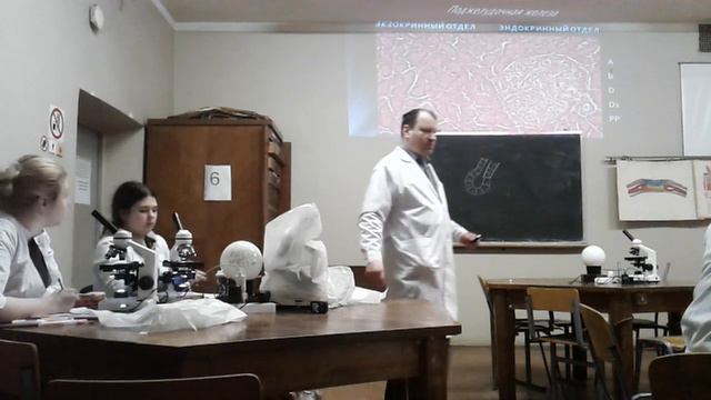 Мпф. Пищеварительная железа. Поджелудочная железа. смотреть онлайн