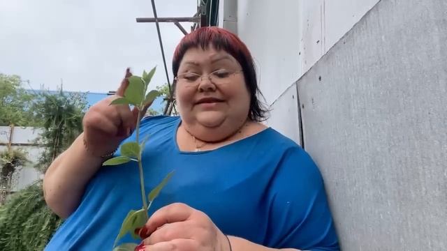 СЕКРЕТ САМАРСКОЙ ЛИДИИ И ПОБАЛТУШКИ смотреть онлайн