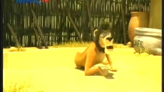 Leon Error of the Savannah - Leon - Open Bar смотреть онлайн