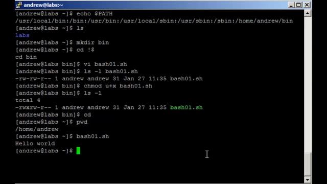 BASH Scripting in Linux Lesson 1 - create, execute and debug scripts