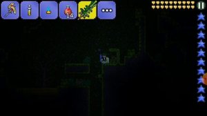 ГДЕ ДОСТАТЬ ЗОЛОТЫЕ СЕРДЕЧКИ В ТЕРРАРИИ??