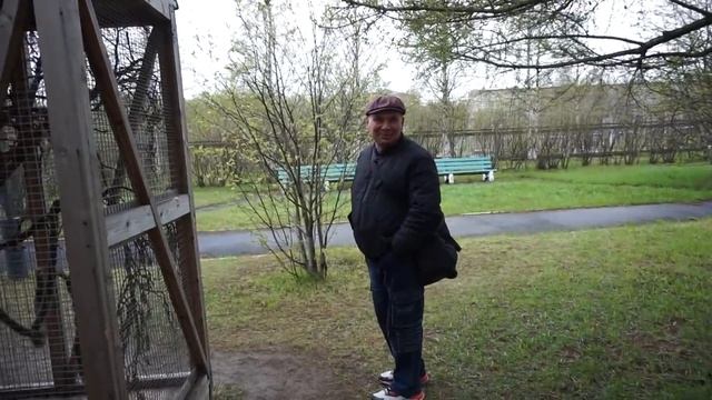 Обидно, белочка не пришла! Госпиталь.