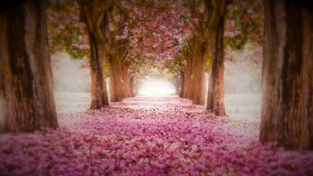 Усыпляющая Музыка Для Сна Естественная Музыка Для Сна И Расслабления Перед Сном смотреть онлайн