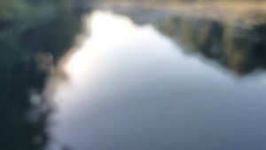 18.08.23г. Саргасово море на реке Ворона.