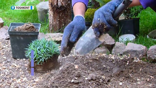 Ерни куз қиш мавсумига тайёрлаш смотреть онлайн