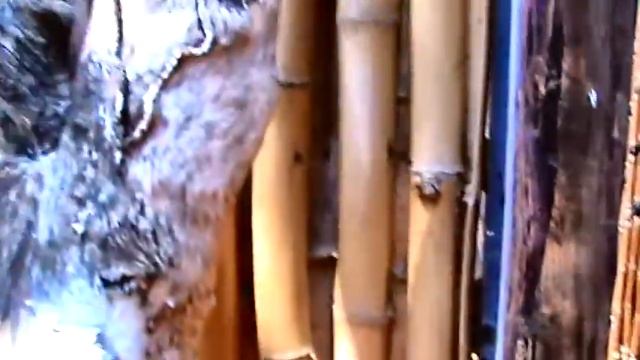 Katamah Beach Community - Treasure Beach, Jamaica смотреть онлайн