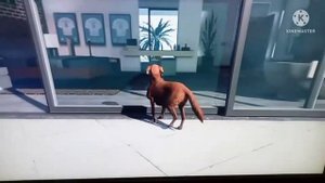 стал собакой в игре гта 5???? Как зделать????)))