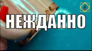 НЕГАДАННОНЕЖДАННО В ВАШЕЙ ЖИЗНИ #youtube #ответуолятаро #youtubeshorts