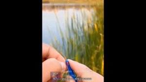 Рыбалка. Многофункциональный экстрактор для крючков.