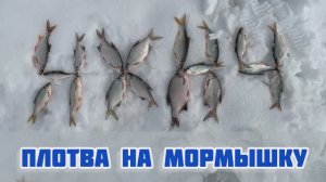 ПЛОТВА ЗИМОЙ НА МОРМЫШКУ В СТОЯЧЕЙ ВОДЕ СО ЛЬДА