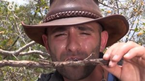 Встреча с самым опасным пауком "черная вдова" ЭТОТ ЯД МОЖЕТ УБИТЬ ЧЕЛОВЕКА