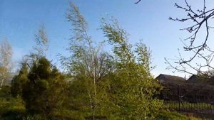 ВЕСЕННИЙ РОМАНС ИЗ ЛАБИРИНТОВ ПАМЯТИ