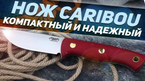 Охотничий нож Южный Крест Caribou - Небольшой фиксед с большими возможностями