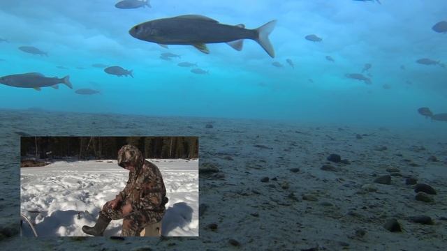 Хариус в апреле. Часть 4 смотреть онлайн