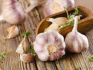 СДЕЛАЙТЕ ПЕРВУЮ ПОДКОРМКУ ЧЕСНОКА ЭТИМИ ДВУМЯ КОМПОНЕНТАМИ!Вы удивитесь результатам!