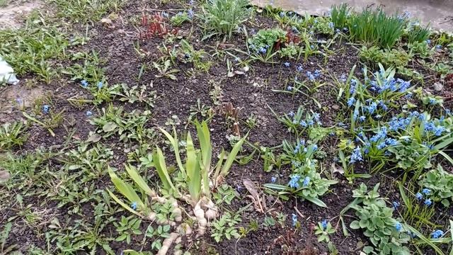 НАШ ПРАЗДНИЧНЫЙ ДЕНЬ//СДЕЛАЛА ЗАКАЗ В IKEA//ШАШЛЫК НА ДАЧЕ И НЕ ТОЛЬКО//ОЧЕНЬ ДУШЕВНЫЙ СЕМЕЙНЫЙ ВЛО смотреть онлайн