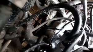 Вакуумные трубки. Правильное расположение ваккумных трубок  на Опель Вектра а 1.6