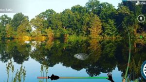 Как и где ловить#Щука обыкновенная#my fishing world