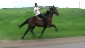 Иноход( карачаевский) а.Кр.Октябрь, КЧР