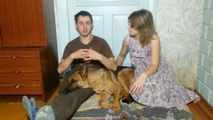 Ложная беременность у собаки // Мастит // Немецкая овчарка // Бони