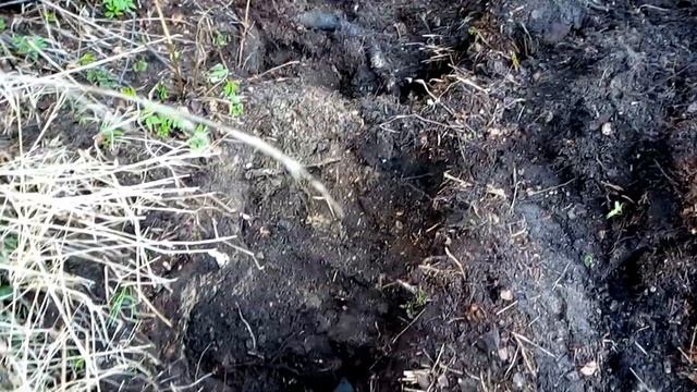 метало коп,нашел большую железяку смотреть онлайн