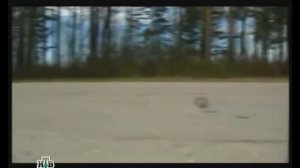 Литейный.сезон 1,серия 1.Car Crash Scene.