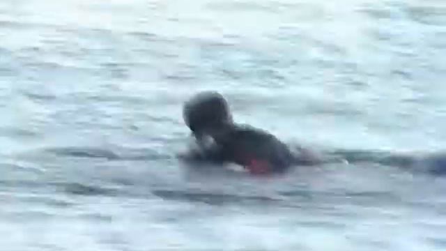 Мишки Гамми 11.07.2004 смотреть онлайн