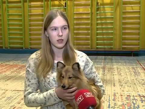 ЧЕТВЕРОНОГИЕ ТЕРАПЕВТЫ
