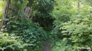 Нудистский пляж| Сезоны. #лето #жара #круто #тайга