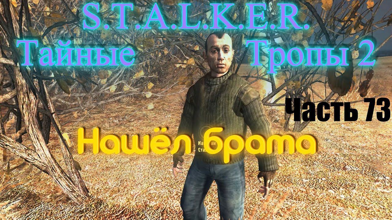 S.T.A.L.K.E.R. Тайные Тропы 2. Часть 73: Нашёл брата.
