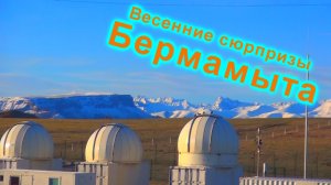 Бермамыт