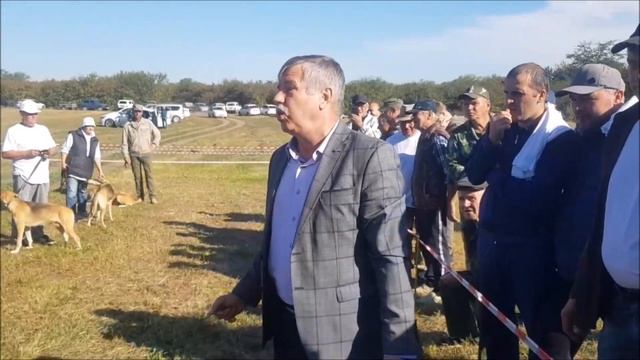 6-я Краснодарская межрегиональная выставка гончих "Кубанская осень 2021". смотреть онлайн