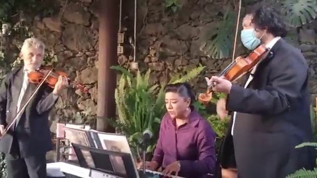 clásica sacra Ave María смотреть онлайн